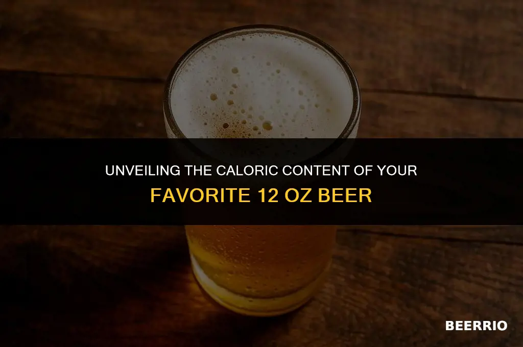 how many calories in a 12 oz bottle of beer