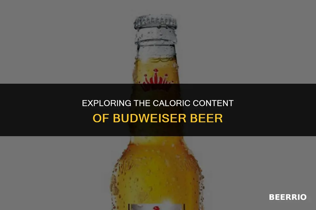 how many calories in a bottle of budweiser beer