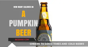 Autumn Sips: Unveiling the Caloric Secrets of Pumpkin Beer