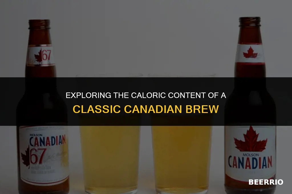 how many calories in a regular canadian beer