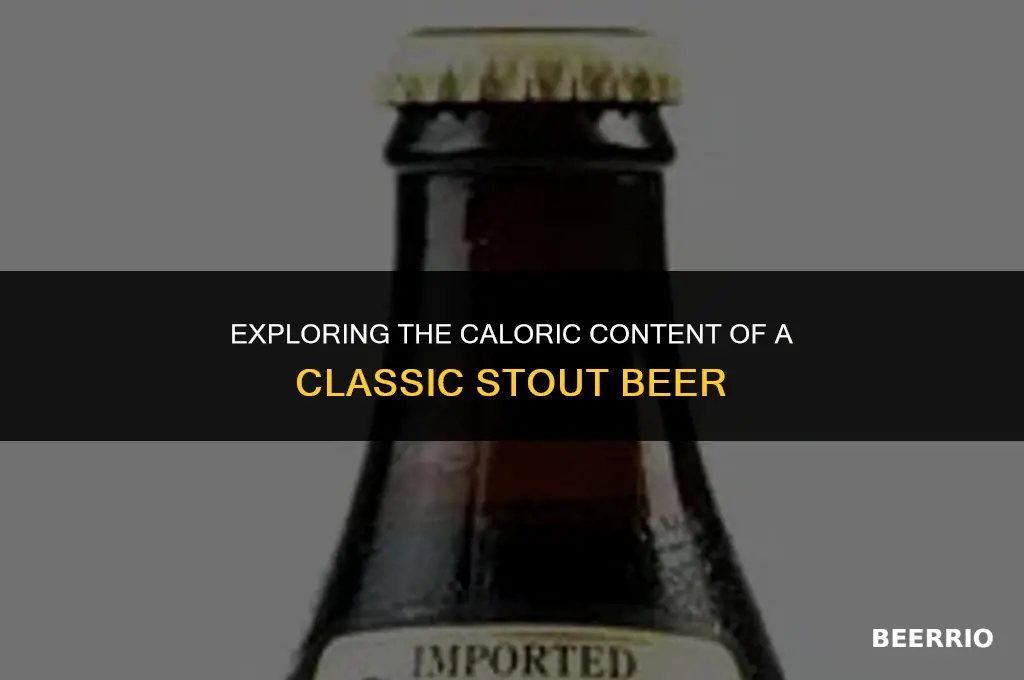 how many calories in a regular stout beer