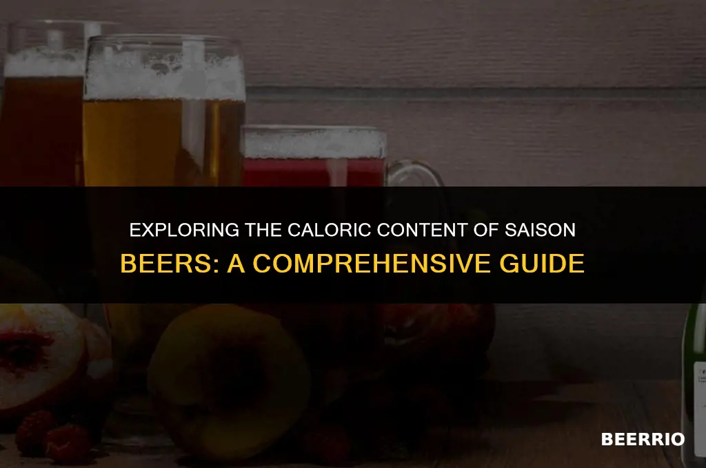 how many calories in a saison beer
