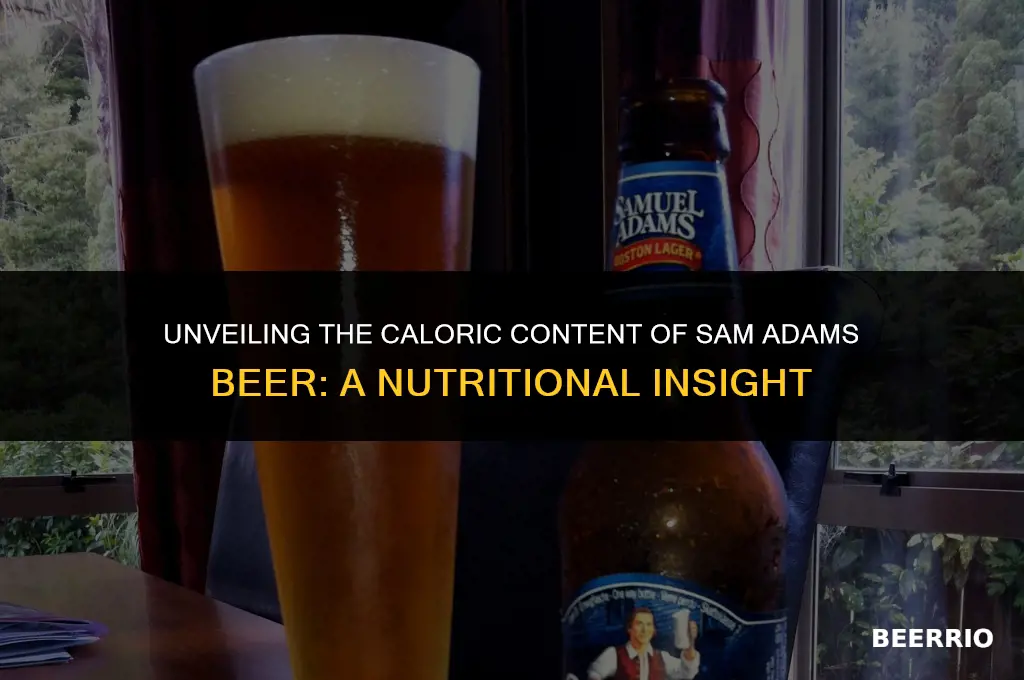 how many calories in a sam adams beer