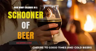 Unveiling the Caloric Secrets of a Schooner of Beer