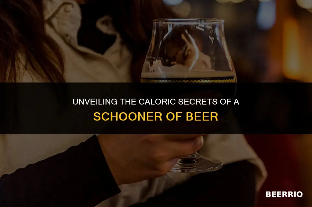 how many calories in a schooner of beer