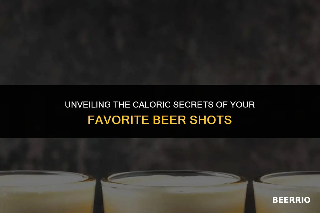 how many calories in a shot of beer