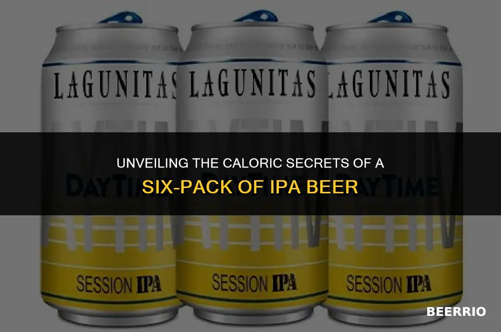 how many calories in a six pack of ipa beer
