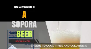 Unveiling the Caloric Secrets of Sopora Beer: A Nutritional Insight