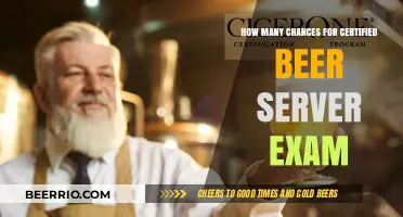 Maximizing Your Chances: Certified Beer Server Exam Preparation