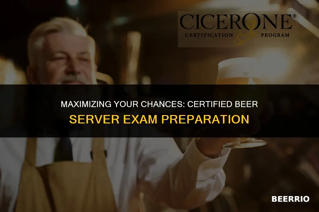 how many chances for certified beer server exam