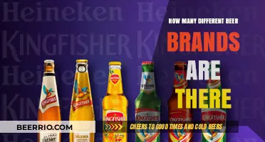 Exploring the Diverse World of Beer: A Guide to Various Brands