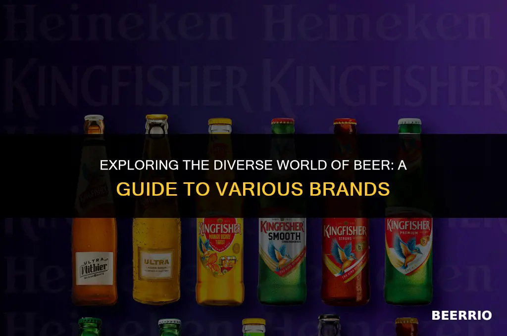 how many different beer brands are there