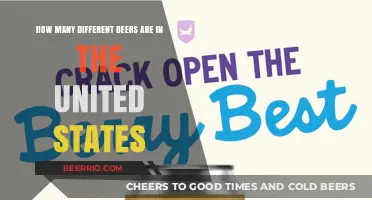 Exploring the Diverse World of Beers in the United States