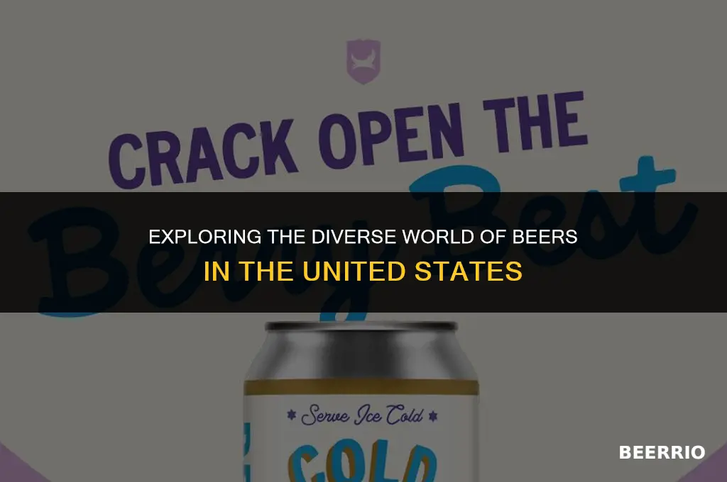 how many different beers are in the united states