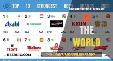 Exploring the Diverse World of Beers: A Comprehensive Guide