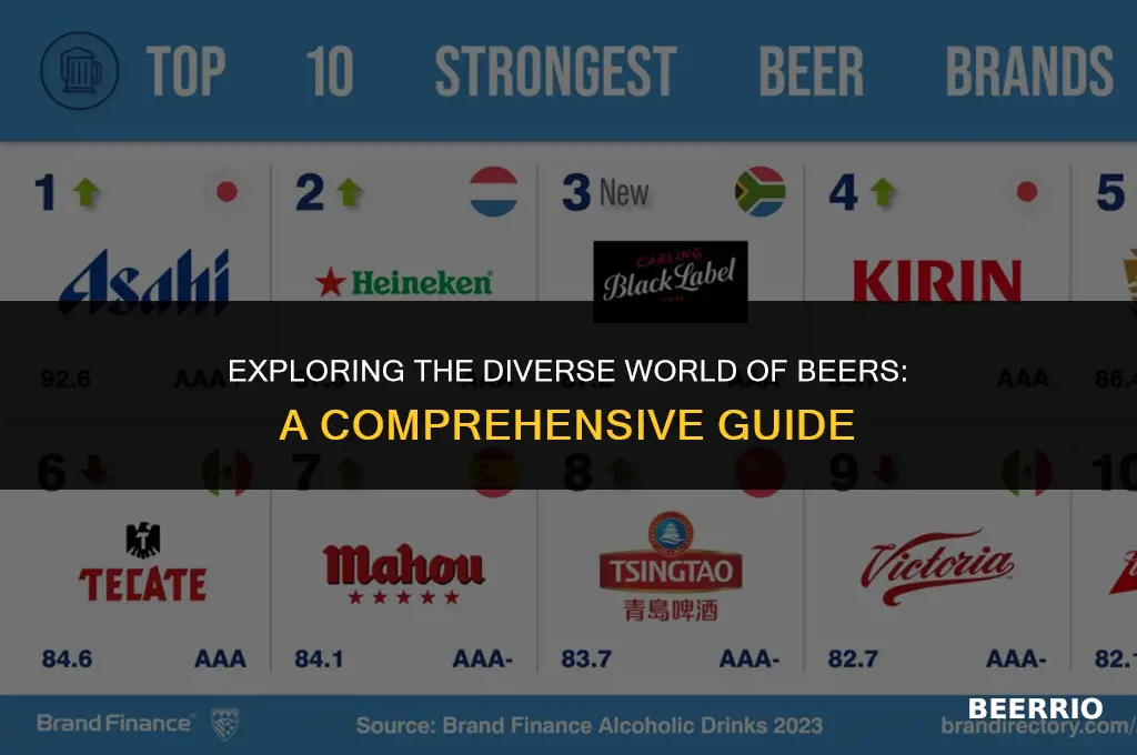 how many different beers are in the world