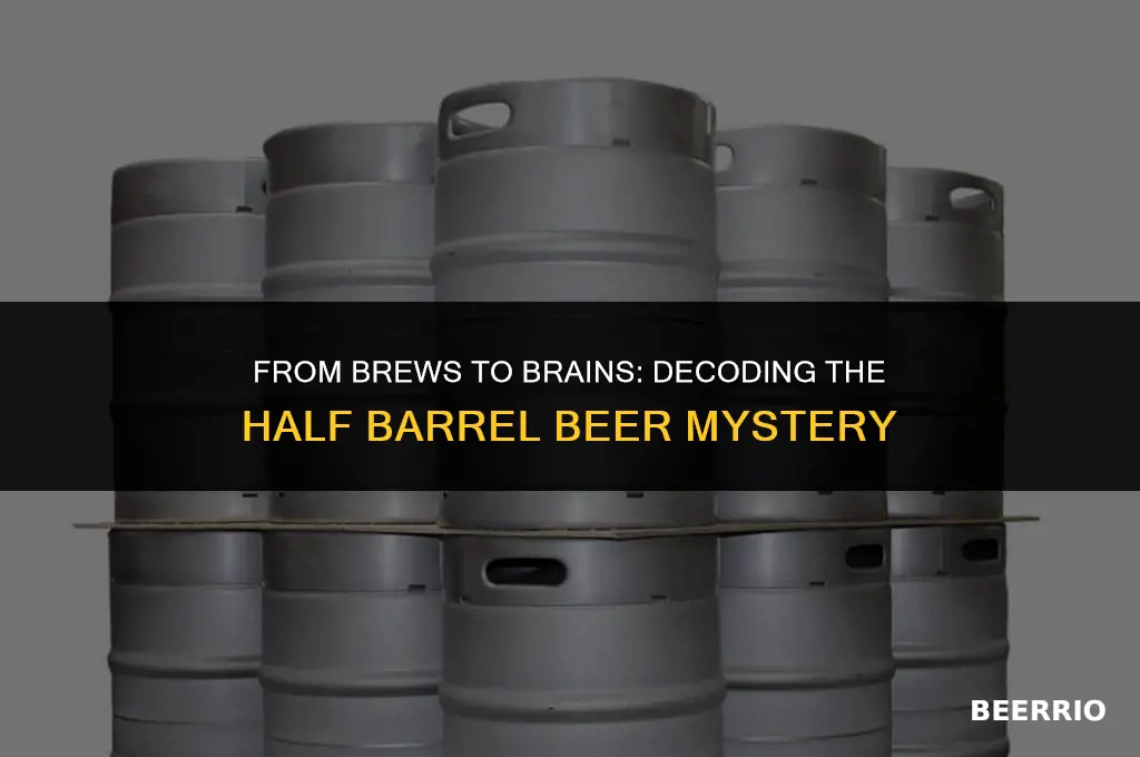 how many does a half barrel of beer serve