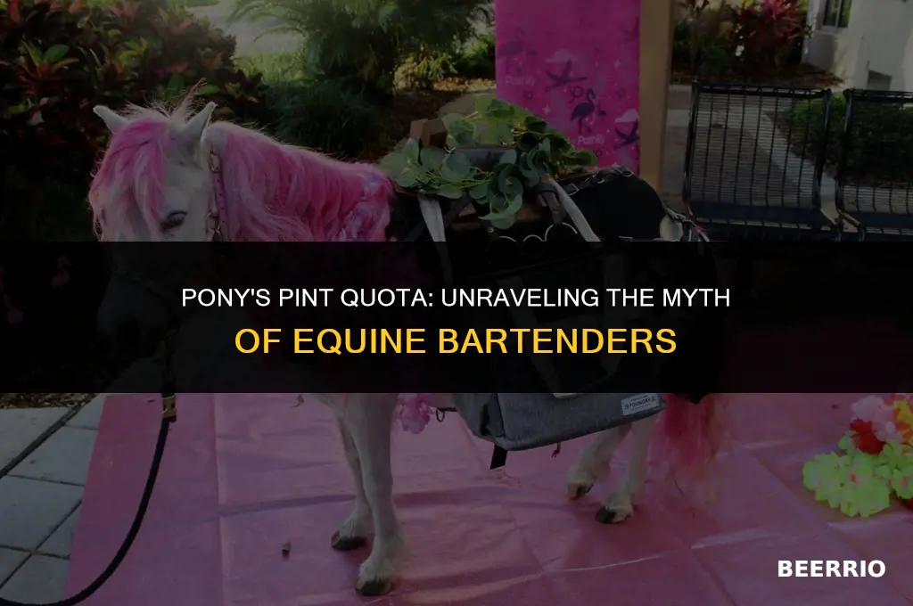 how many glasses of beer does a pony serve