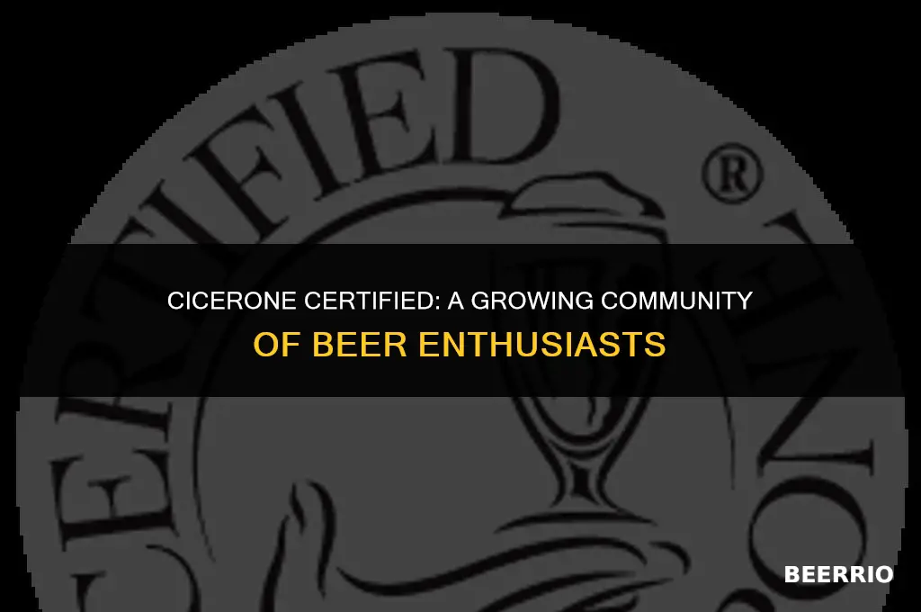 how many have passed cicerone certified beer server