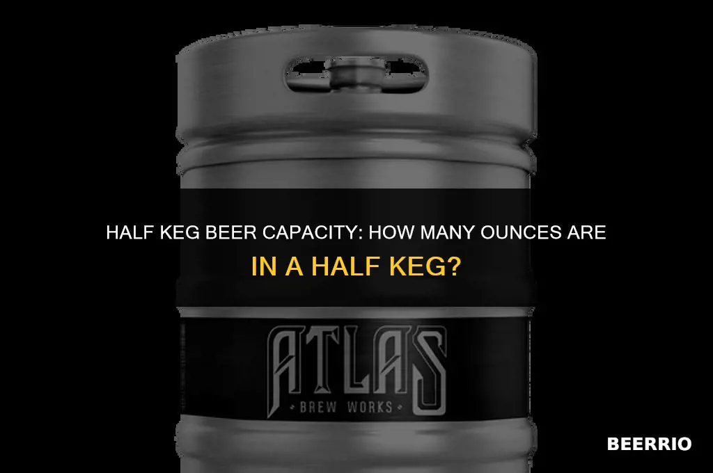 how many oz of beer in a half keg