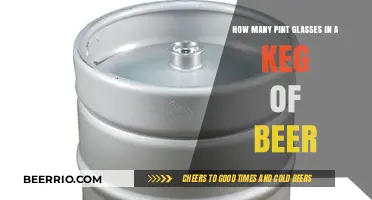 From Keg to Pint: Understanding Beer Volume Conversions