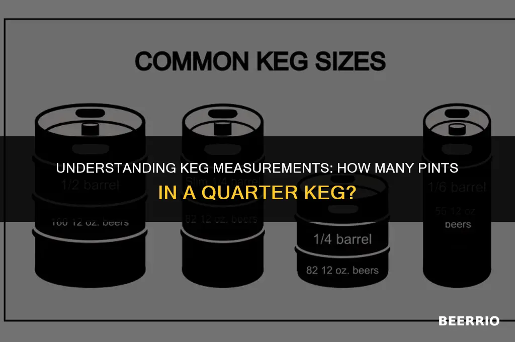 how many pints in 1 4 of a keg beer