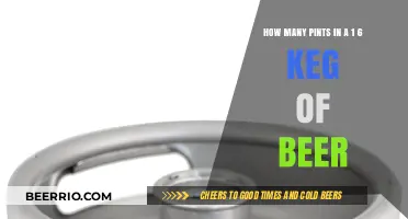 Unlocking the Mystery: How Many Pints Lurk in a 1/6 Keg of Beer?