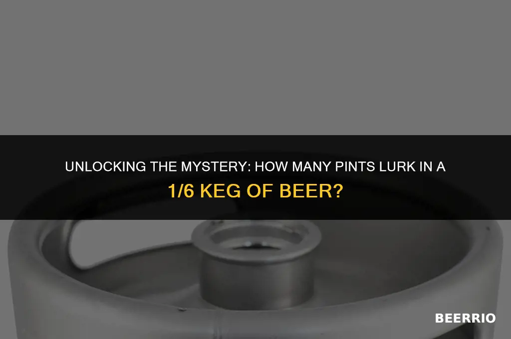 how many pints in a 1 6 keg of beer