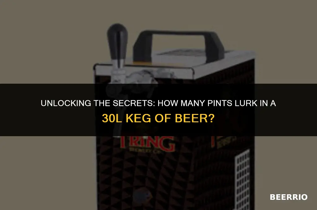 how many pints in a 30l keg of beer
