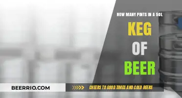 From Keg to Pint: Understanding Beer Volume Conversions