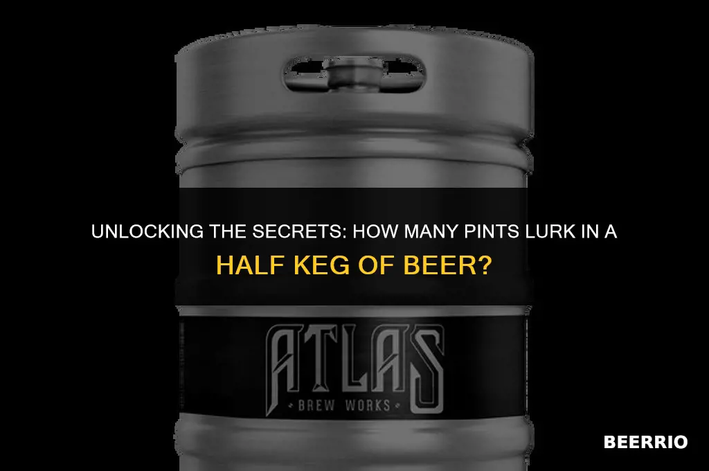 how many pints in a half keg of beer