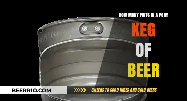 Understanding Beer Measurements: Pints in a Pony Keg Explained