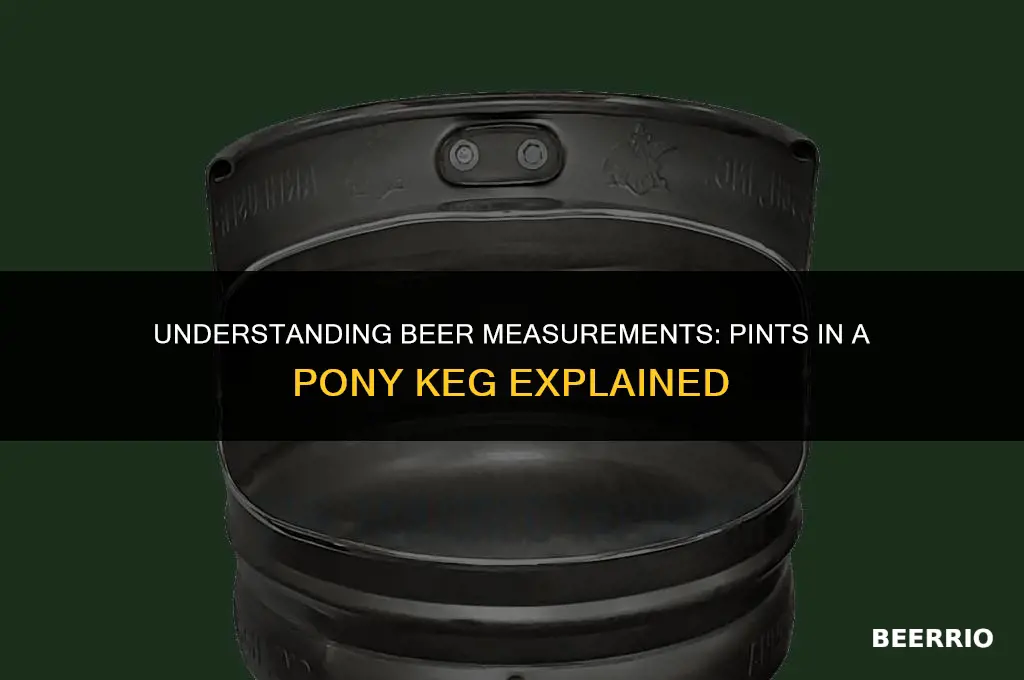 how many pints in a pony keg of beer