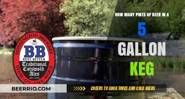 From Keg to Pint: Understanding Beer Volume Conversions