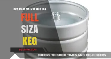 From Keg to Pint: Understanding Beer Volume Conversions