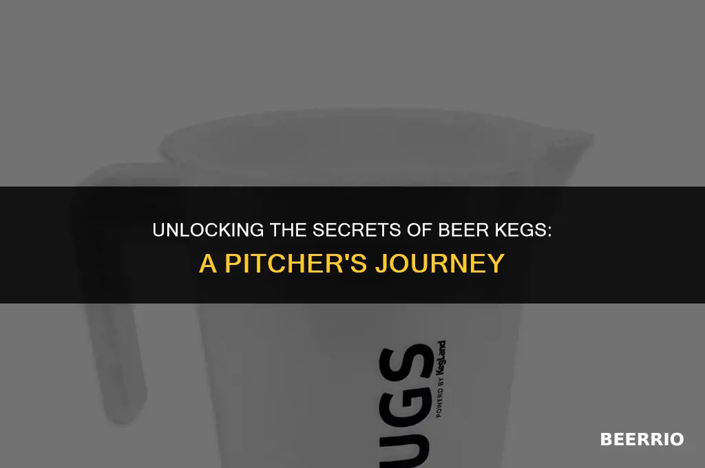 how many pitchers are in a keg of beer