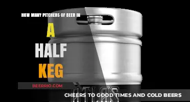 From Keg to Cup: Understanding Beer Measurements for Perfect Pouring