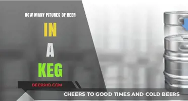 From Keg to Pint: Understanding Beer Volume and Measurements