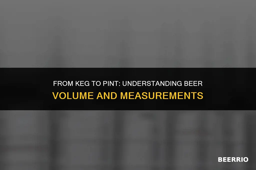 how many pitures of beer in a keg