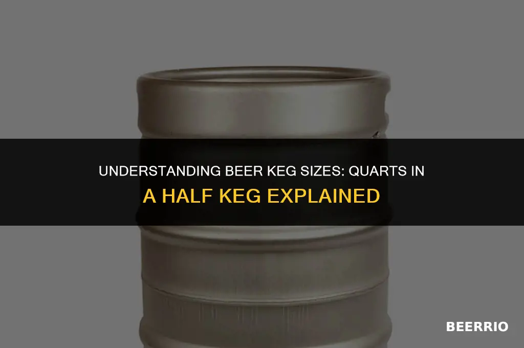 how many quarts in a 1 2 beer keg