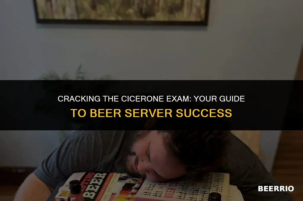 how many questions are on the cicerone beer server exam