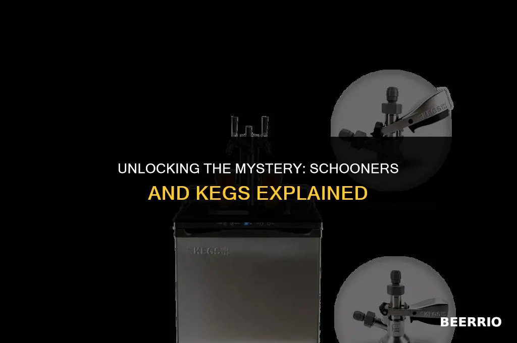 how many schooners are in a keg of beer