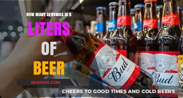 Sipping Sense: Understanding Beer Servings in Liters