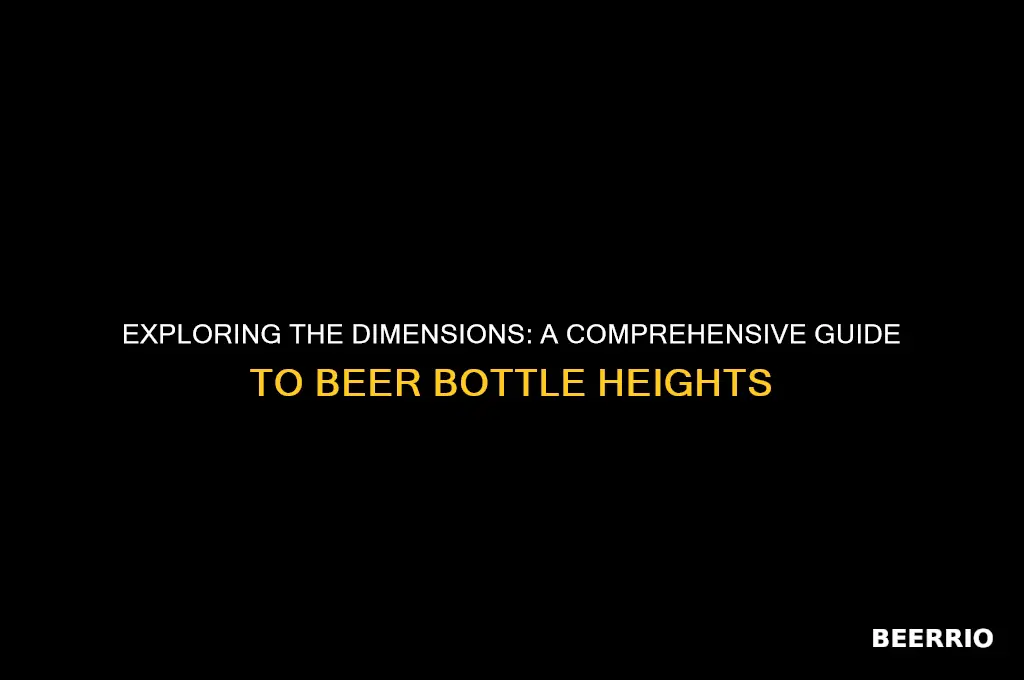 how tall is a beer bottle