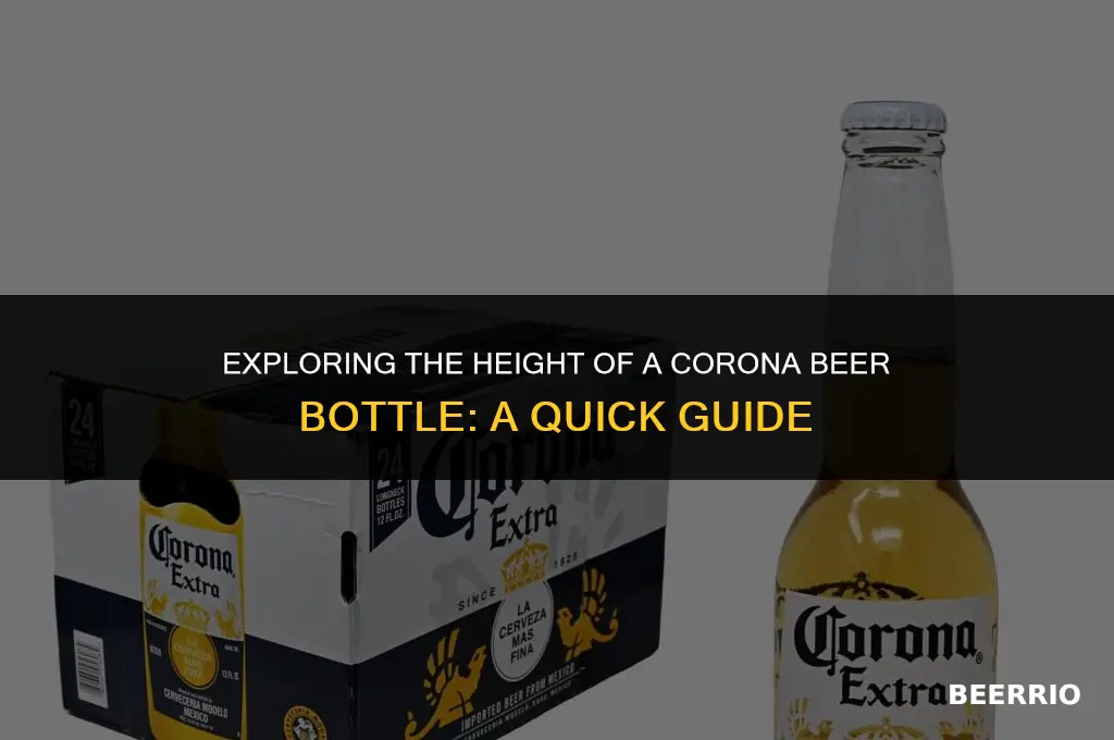 how tall is a corona beer bottle