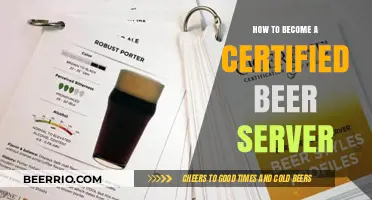 Pouring Perfection: Your Guide to Certified Beer Service