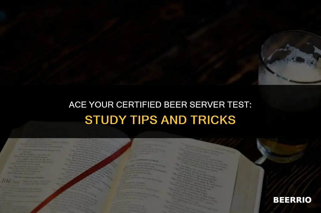 how to best study for certified beer server test