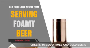 Troubleshooting Your Beer Meister: Tips to Eliminate Foam