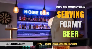 Troubleshooting Your BeerMeister: Tips to Eliminate Foam and Enhance Your Brew