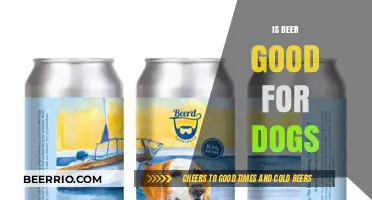 Exploring the Safety of Beer for Dogs: A Comprehensive Guide